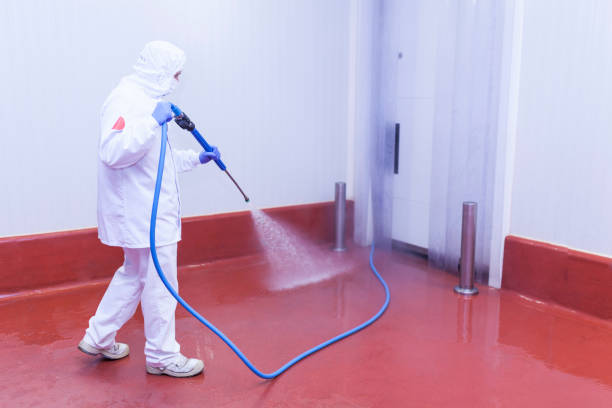 Best Building Exterior Washing  in Warren Park, IN
