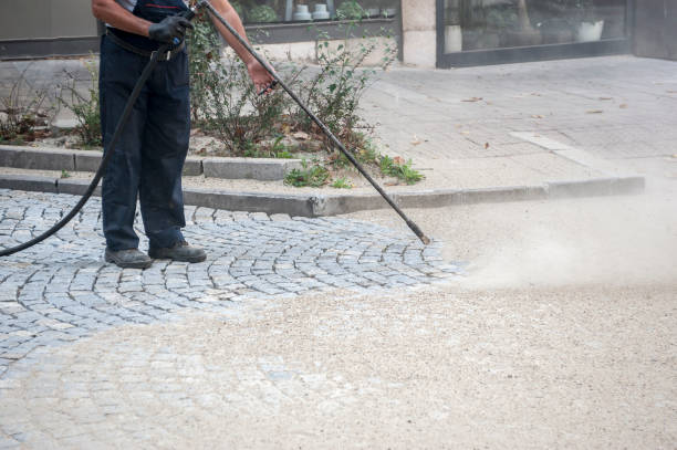 Best Spring Cleaning  in Warren Park, IN